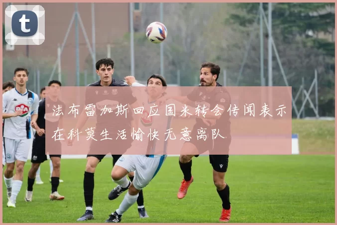 法布雷加斯回应国米转会传闻表示在科莫生活愉快无意离队